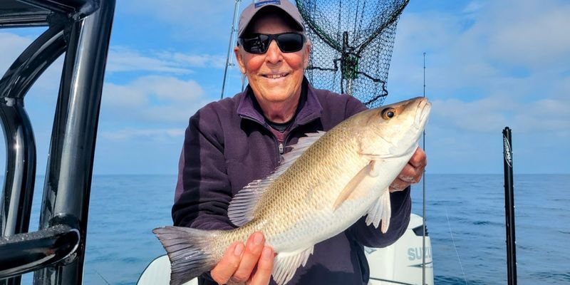 Crystal River Fishing | Near Shore Reef and Rockpile Trips Half Day To Full Day Trips